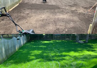 Before and after lawn installation