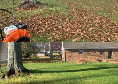 Before and After Seasonal Cleanups